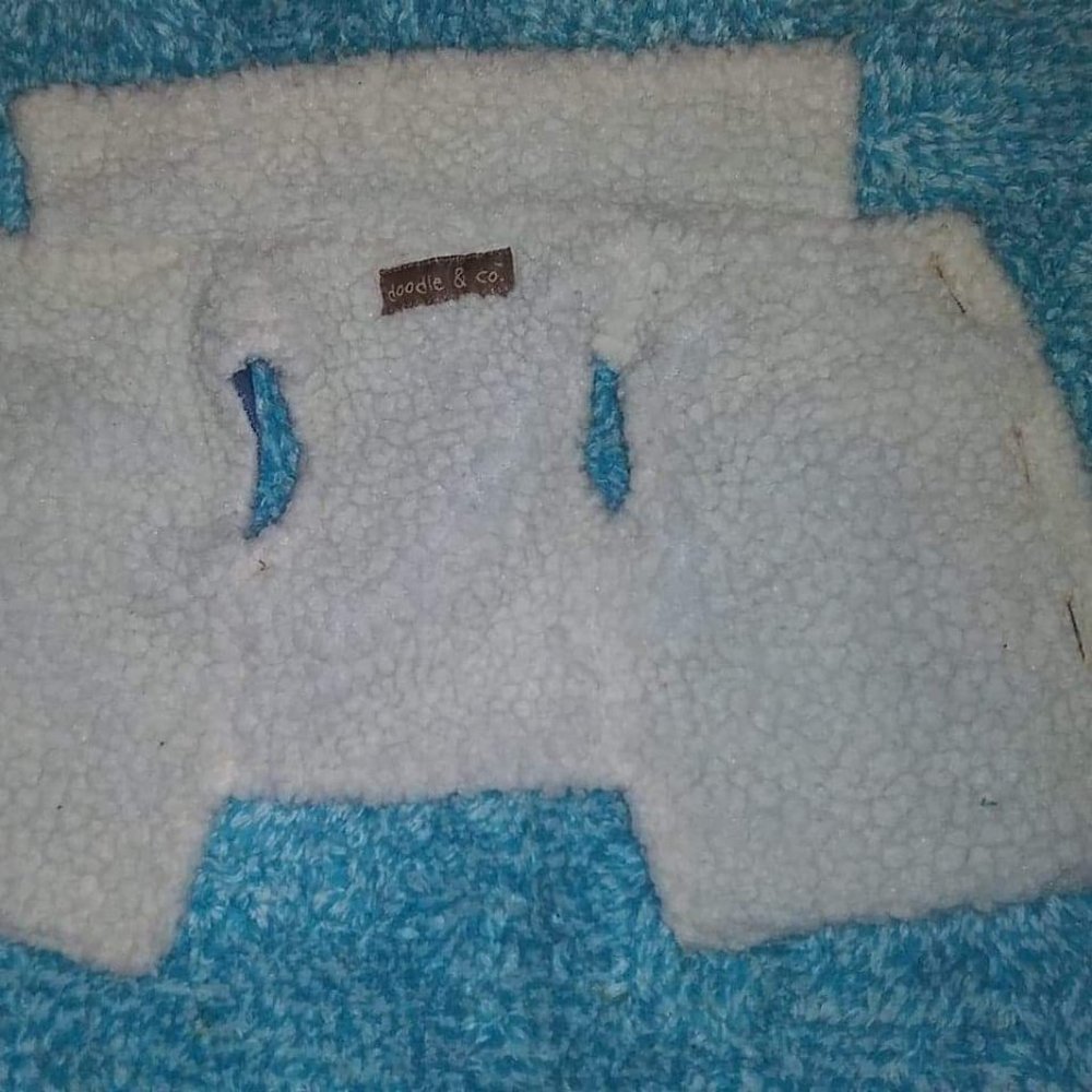Pooch Apparel - Picture 2 of 3